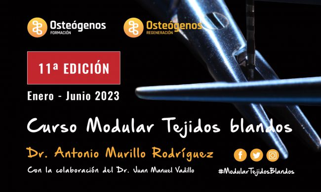 Modular tejidos blandos | 2023 Madrid
