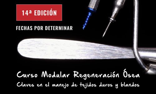 Modular Regeneración Ósea<br> | 2022-2023 Madrid |