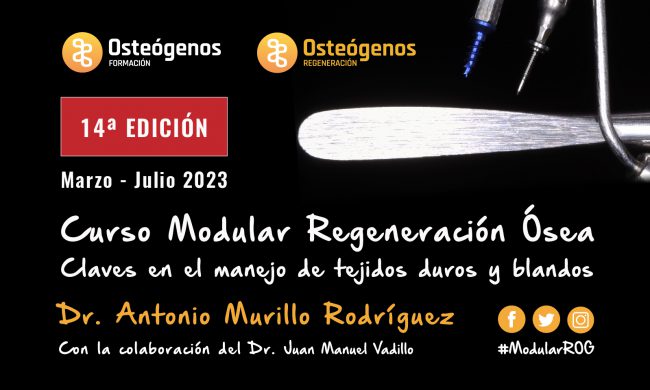 Modular regeneración ósea | 2023 Madrid
